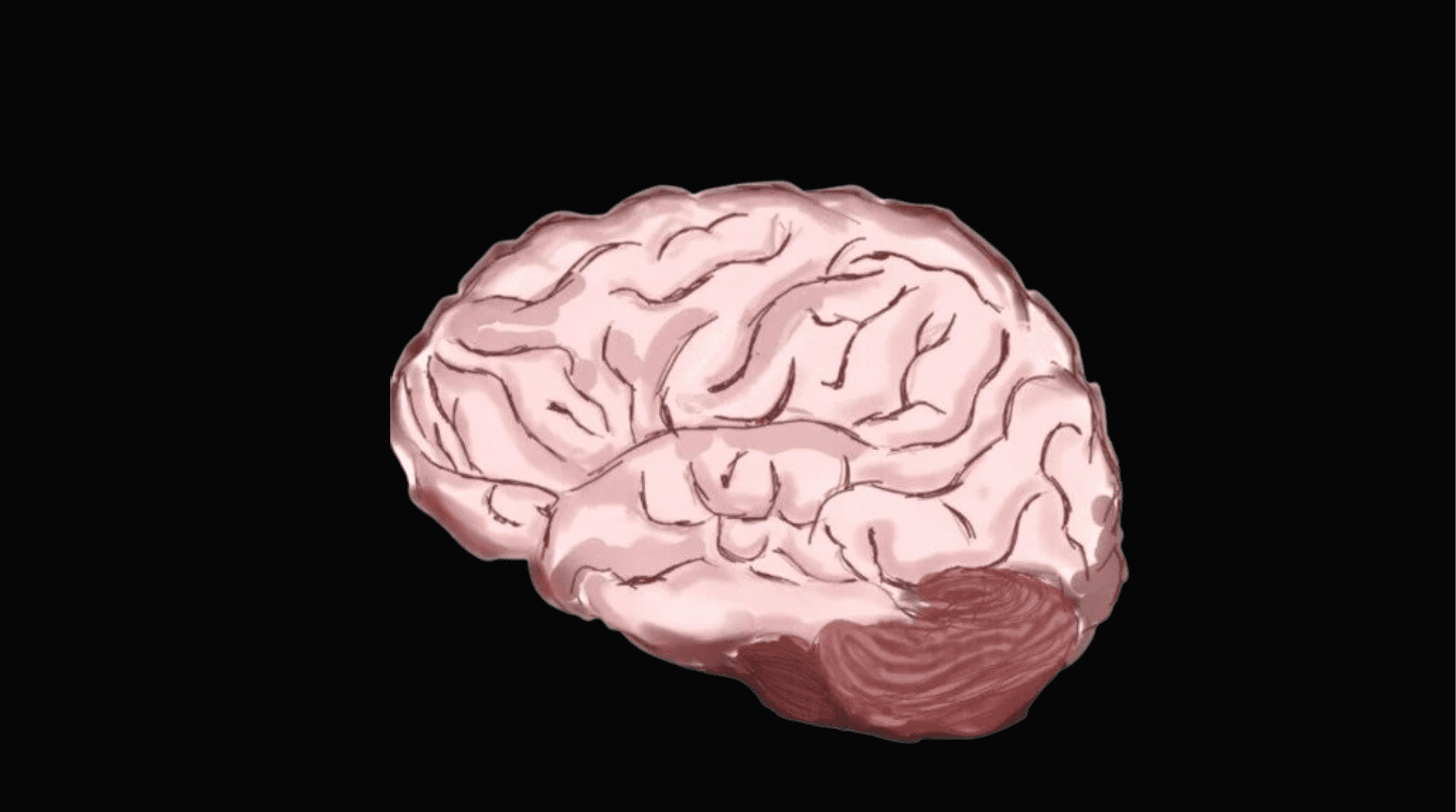 Normal brain